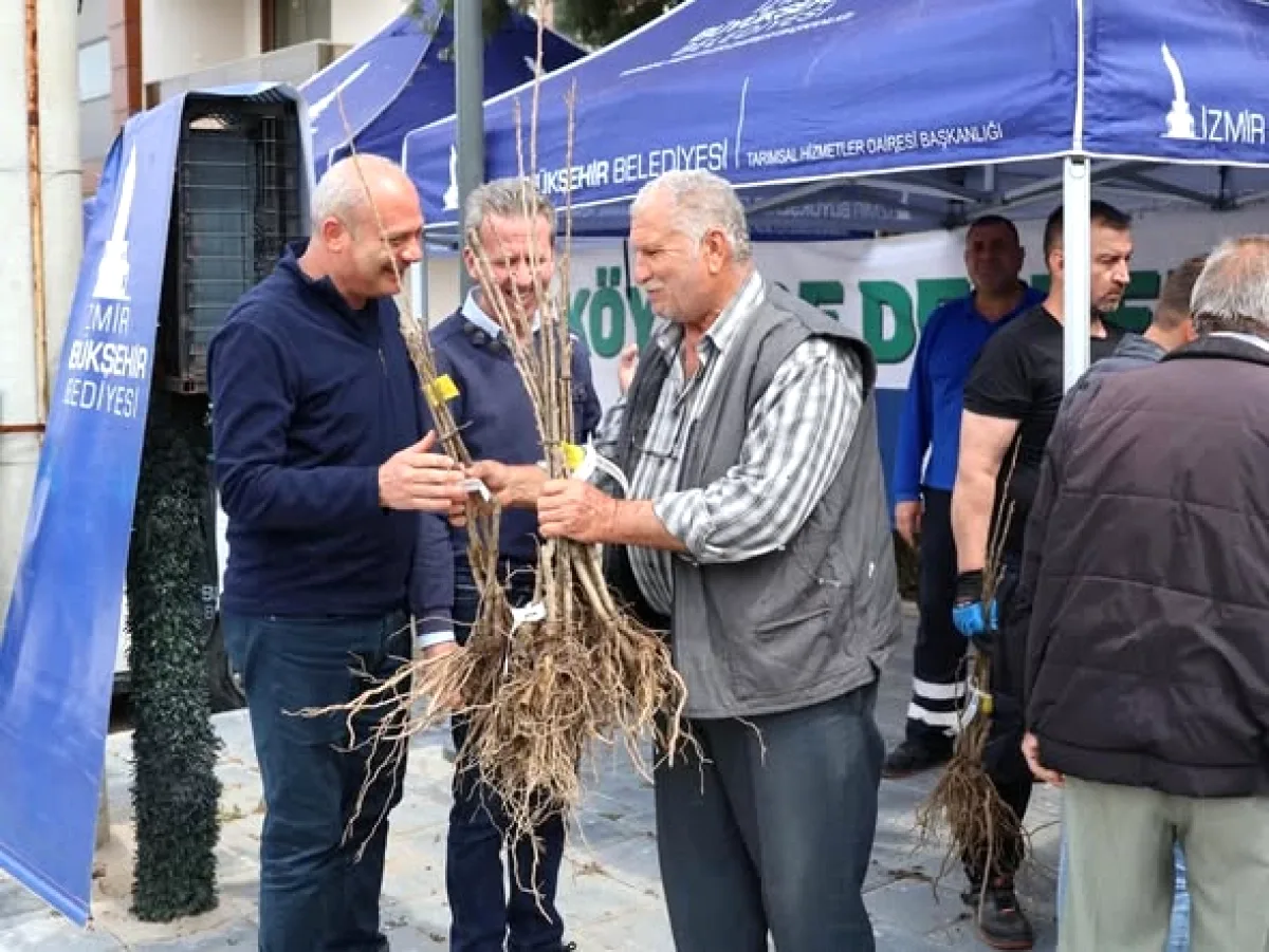 İzmir Beydağ'da Çiftçilere 1.500 Kestane Fidanı Desteği İzmir Beydağ'da Çiftçilere 1.500 Kestane Fidanı Desteği