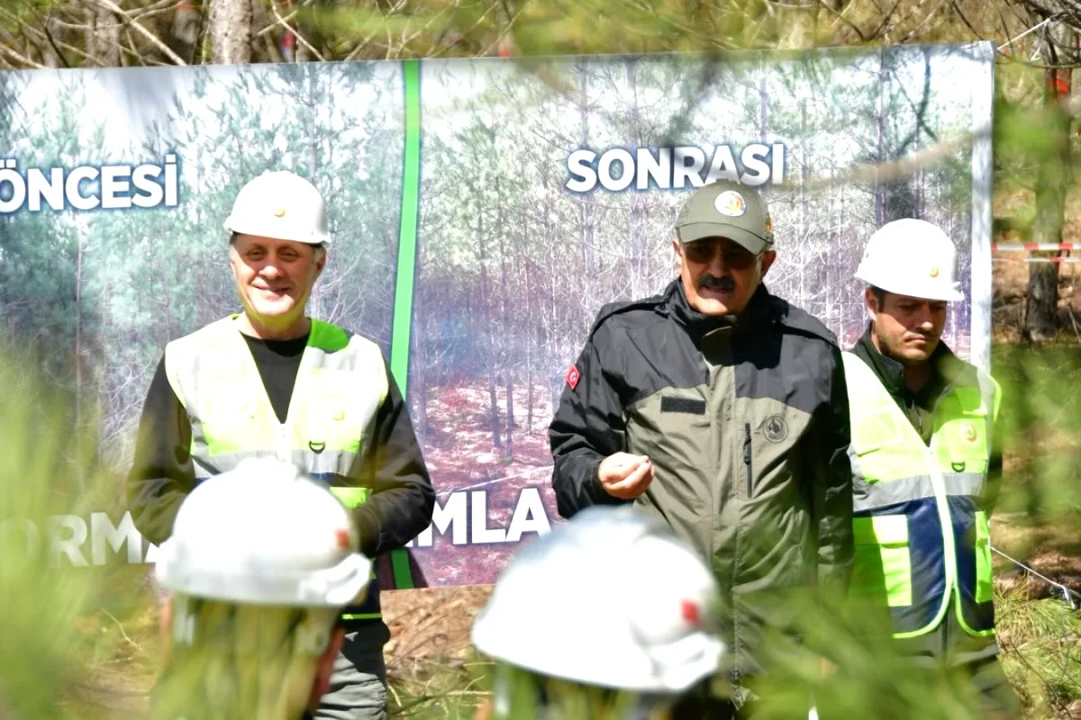 Balıkesir'de Genç Orman Mühendislerine Silvikültür Eğitimi Balıkesir'de Genç Orman Mühendislerine Silvikültür Eğitimi