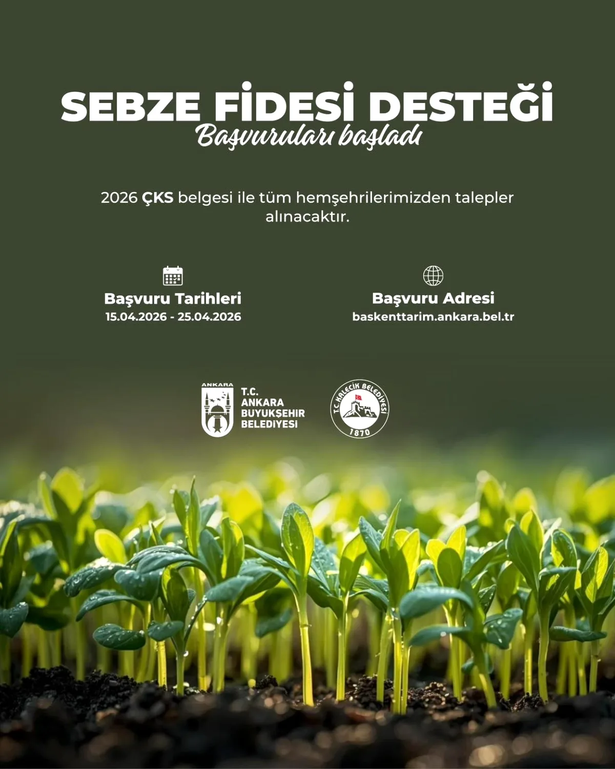Kalecik'te Sebze Fidesi Desteği Başlıyor: 15 Nisan'da Başvurular Başlayacak Kalecik'te Sebze Fidesi Desteği Başlıyor: 15 Nisan'da Başvurular Başlayacak