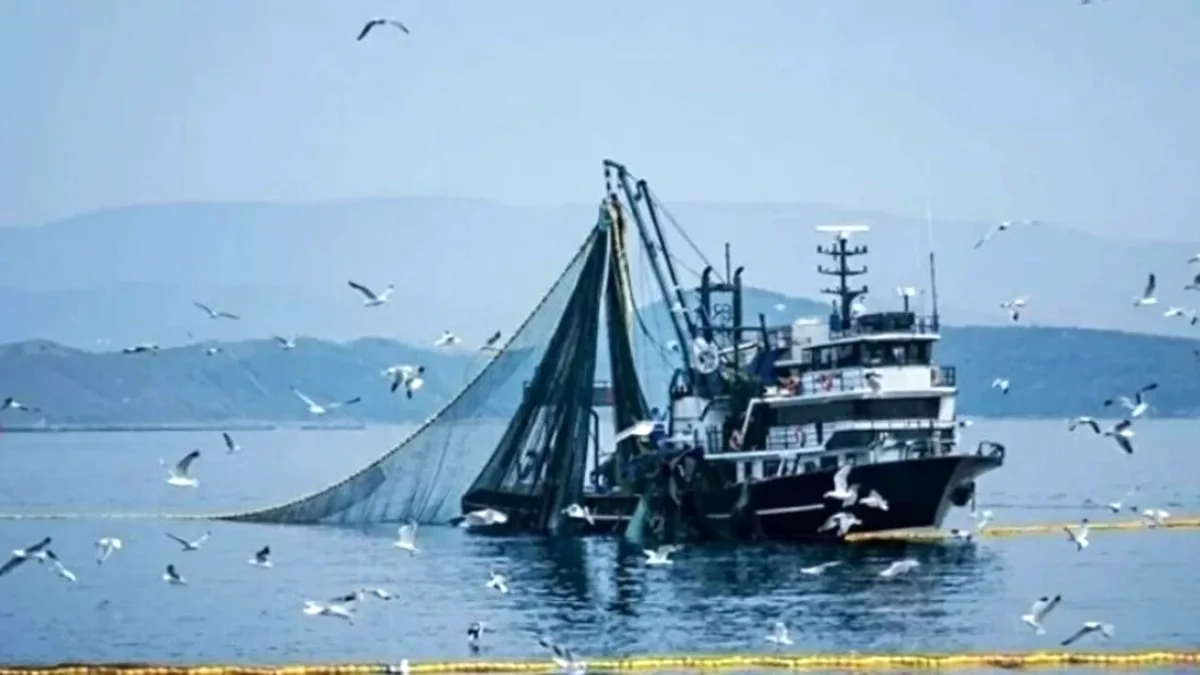 Büyük Balıkçı Tekneleri İçin Av Yasağı Başlıyor Büyük Balıkçı Tekneleri İçin Av Yasağı Başlıyor