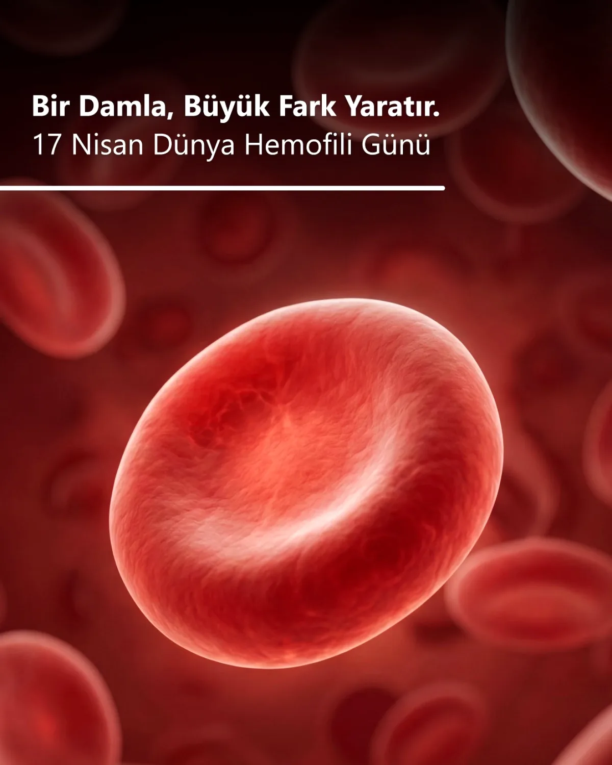 Hemofili Farkındalık Günü: Tokat'tan Görünmez Engele Dikkat Hemofili Farkındalık Günü: Tokat'tan Görünmez Engele Dikkat