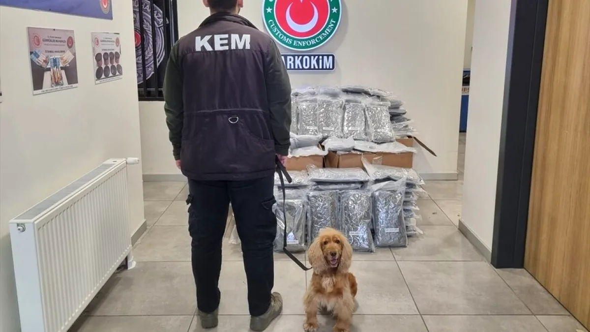 Gümrük Muhafaza'dan Operasyon: 420 Kg Esrar Ele Geçirildi Gümrük Muhafaza'dan Operasyon: 420 Kg Esrar Ele Geçirildi