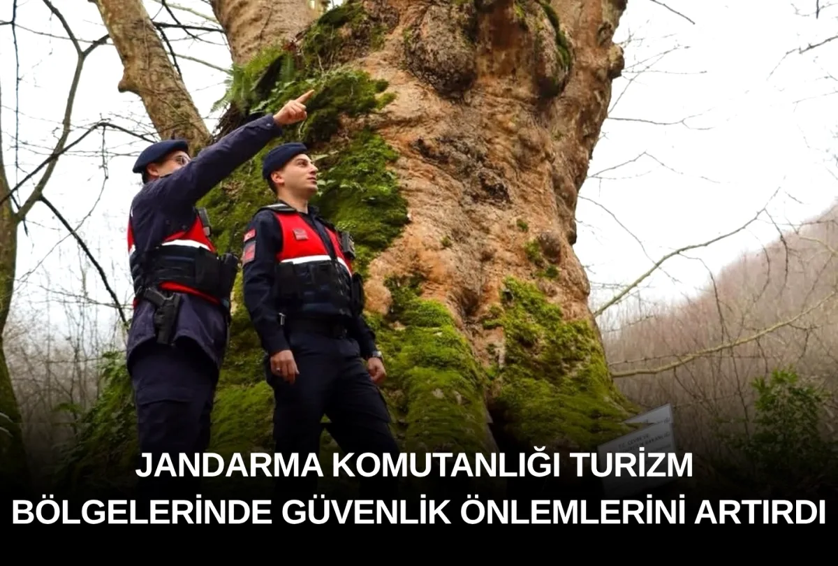 Yalova'da Doğa Turizmi Güvenliği: Jandarma Devriyeleri Artırıyor Yalova'da Doğa Turizmi Güvenliği: Jandarma Devriyeleri Artırıyor