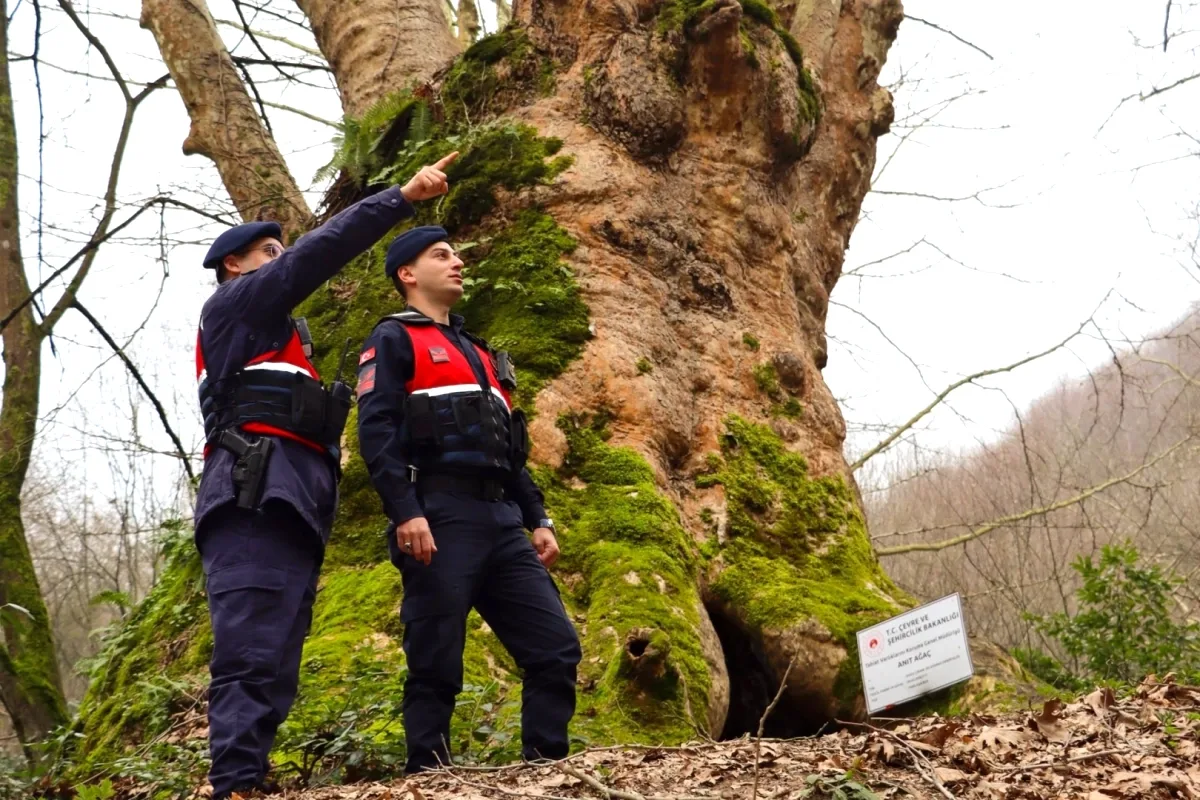 Yalova'da Güvenli Turizm İçin Jandarma Devriyesi Yalova'da Güvenli Turizm İçin Jandarma Devriyesi