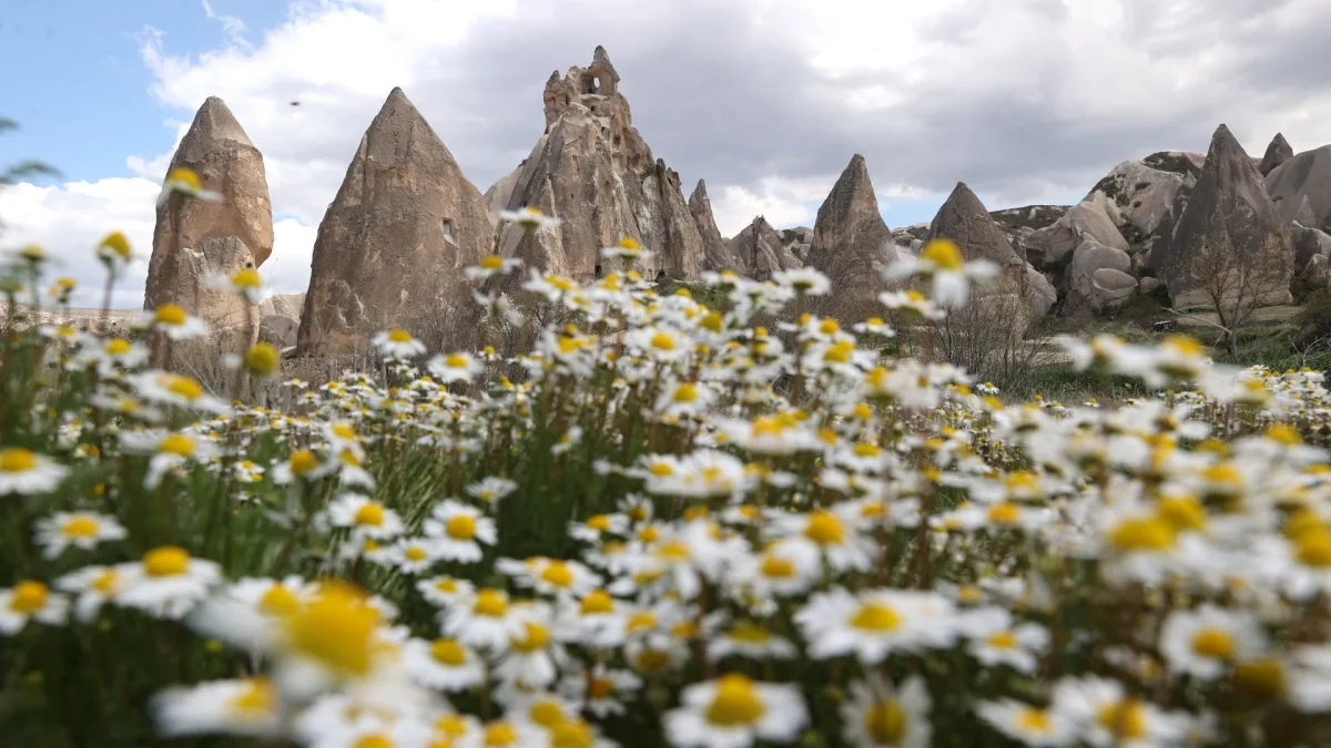 Kapadokya'da Bahar Çiçekleri Turistleri Büyülüyor Kapadokya'da Bahar Çiçekleri Turistleri Büyülüyor