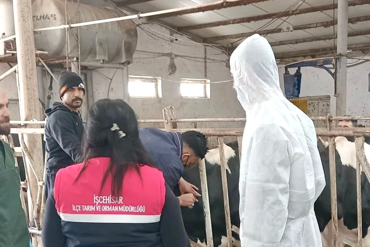 Afyonkarahisar'da Ari İşletme Çalışmaları Sürüyor Afyonkarahisar'da Ari İşletme Çalışmaları Sürüyor