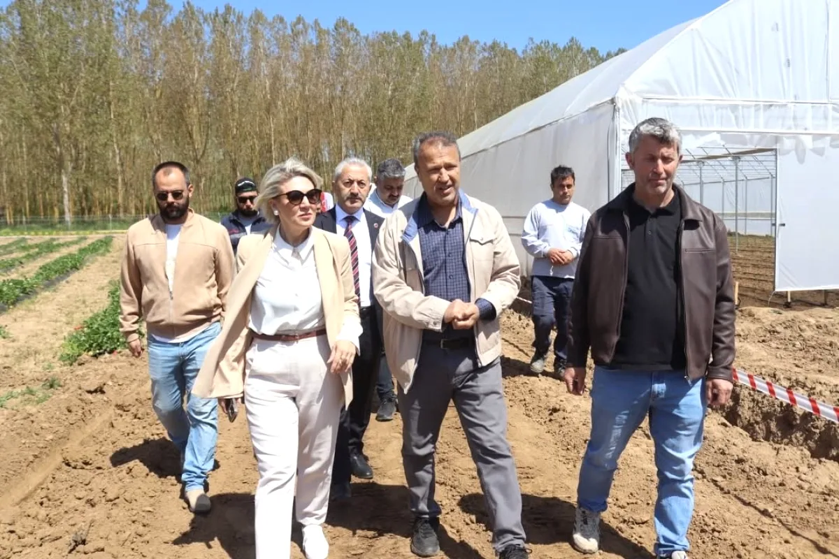İzmit'te Minik Eller Toprakla Buluştu: Başkan Hürriyet Çocuklarla Fidan Dikti İzmit'te Minik Eller Toprakla Buluştu: Başkan Hürriyet Çocuklarla Fidan Dikti