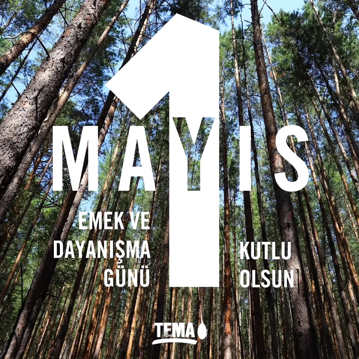 TEMA Vakfı Yalova Şubesinden 1 Mayıs Kutlaması TEMA Vakfı Yalova Şubesinden 1 Mayıs Kutlaması