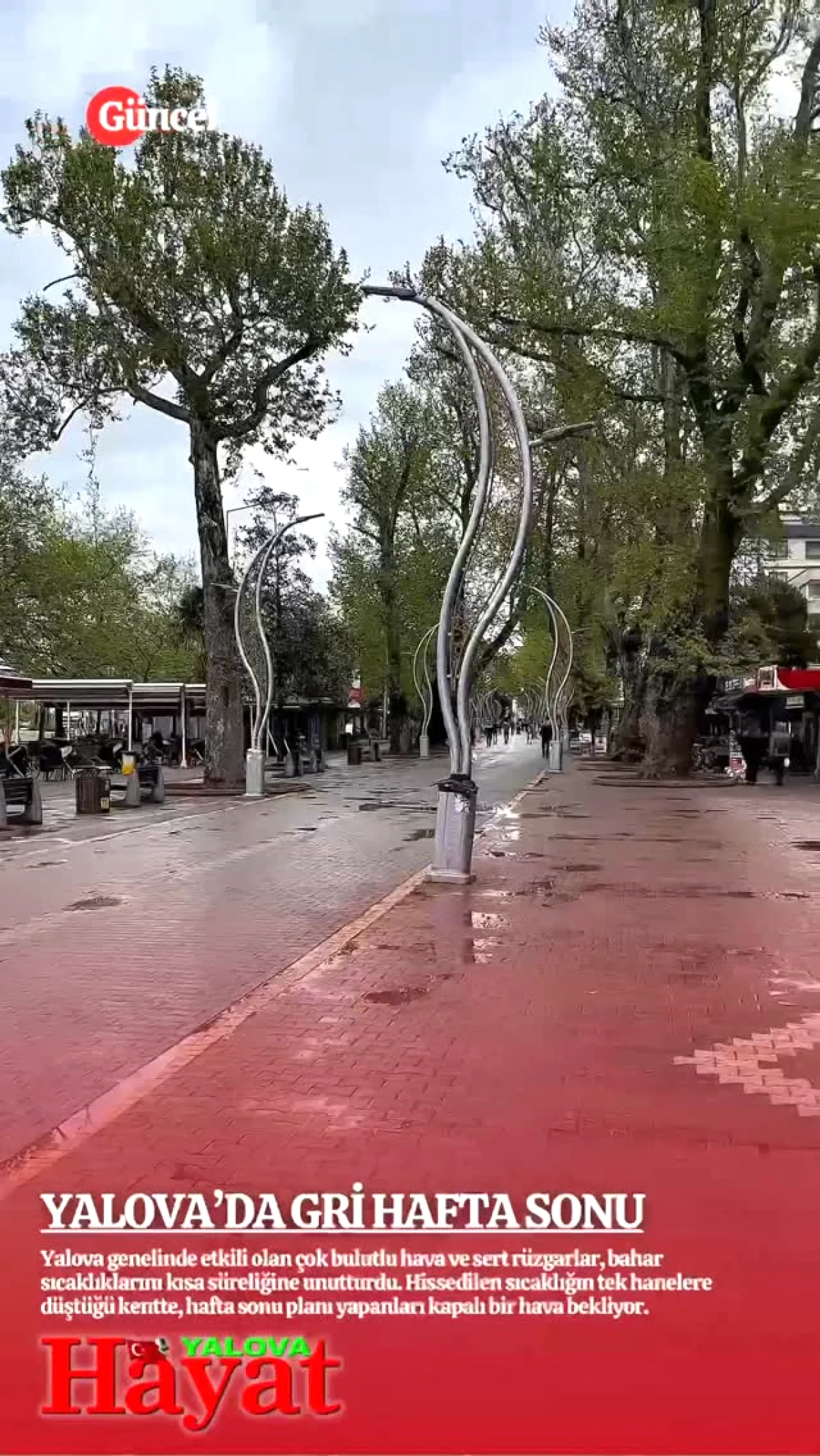 Yalova'da Bahar Ara Verdi: Sert Rüzgar ve Tek Haneli Sıcaklık Yalova'da Bahar Ara Verdi: Sert Rüzgar ve Tek Haneli Sıcaklık