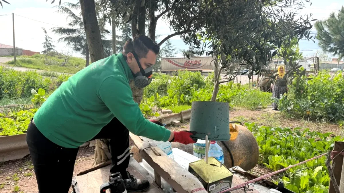 Kocaeli'de Sivrisinek İstilasına Karşı 100 Kişilik Özel Ekip Sahada Kocaeli'de Sivrisinek İstilasına Karşı 100 Kişilik Özel Ekip Sahada