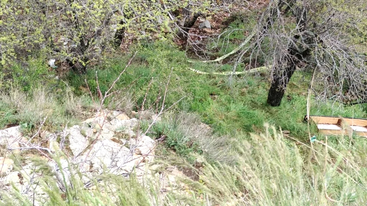 Isparta'da Tepeden Düşme: Gülhan Altunbaş Hayatını Kaybetti Isparta'da Tepeden Düşme: Gülhan Altunbaş Hayatını Kaybetti