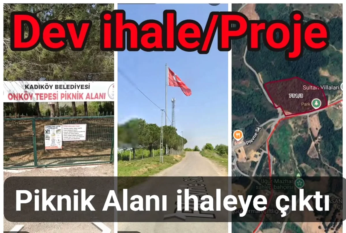 Kadıköy'de Yüzlerce Ağaçlı Arsada Kritik İhale Kadıköy'de Yüzlerce Ağaçlı Arsada Kritik İhale