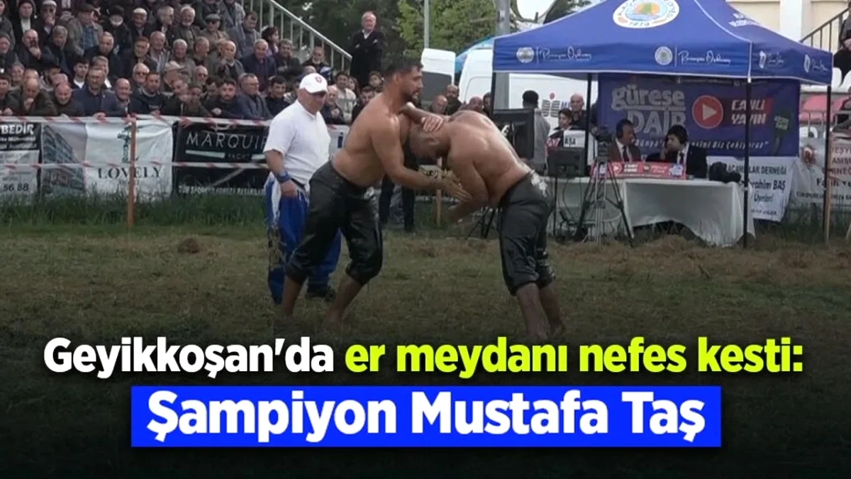 Alaçam'da Geyikkoşan Güreşleri Nefes Kesti: Başpehlivan Mustafa Taş Alaçam'da Geyikkoşan Güreşleri Nefes Kesti: Başpehlivan Mustafa Taş