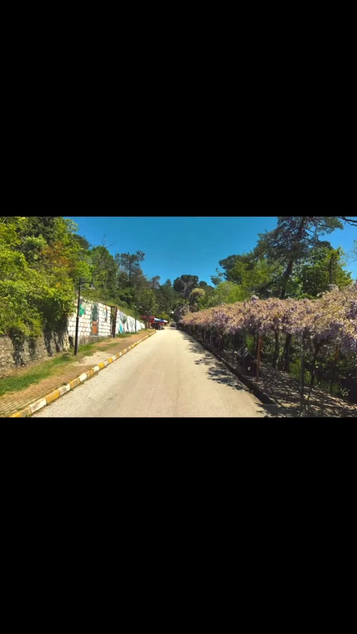 Yalova Termal'de Aşıklar Yolu: Romantik Rota Tanıtıldı Yalova Termal'de Aşıklar Yolu: Romantik Rota Tanıtıldı