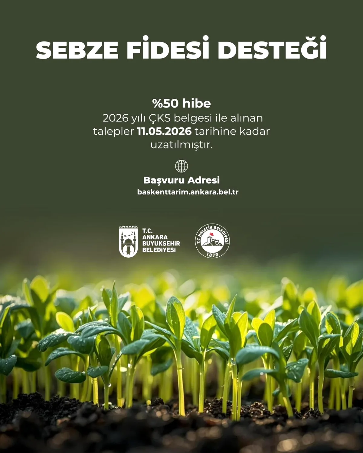 Kalecik'te Sebze Fidesi Desteği Başvuruları Uzatıldı: Son Gün 11 Mayıs Kalecik'te Sebze Fidesi Desteği Başvuruları Uzatıldı: Son Gün 11 Mayıs