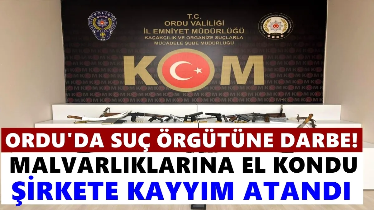 Ordu'da Suç Örgütü Operasyonu: 41 Tutuklama, Mal Varlıklarına El Konuldu Ordu'da Suç Örgütü Operasyonu: 41 Tutuklama, Mal Varlıklarına El Konuldu