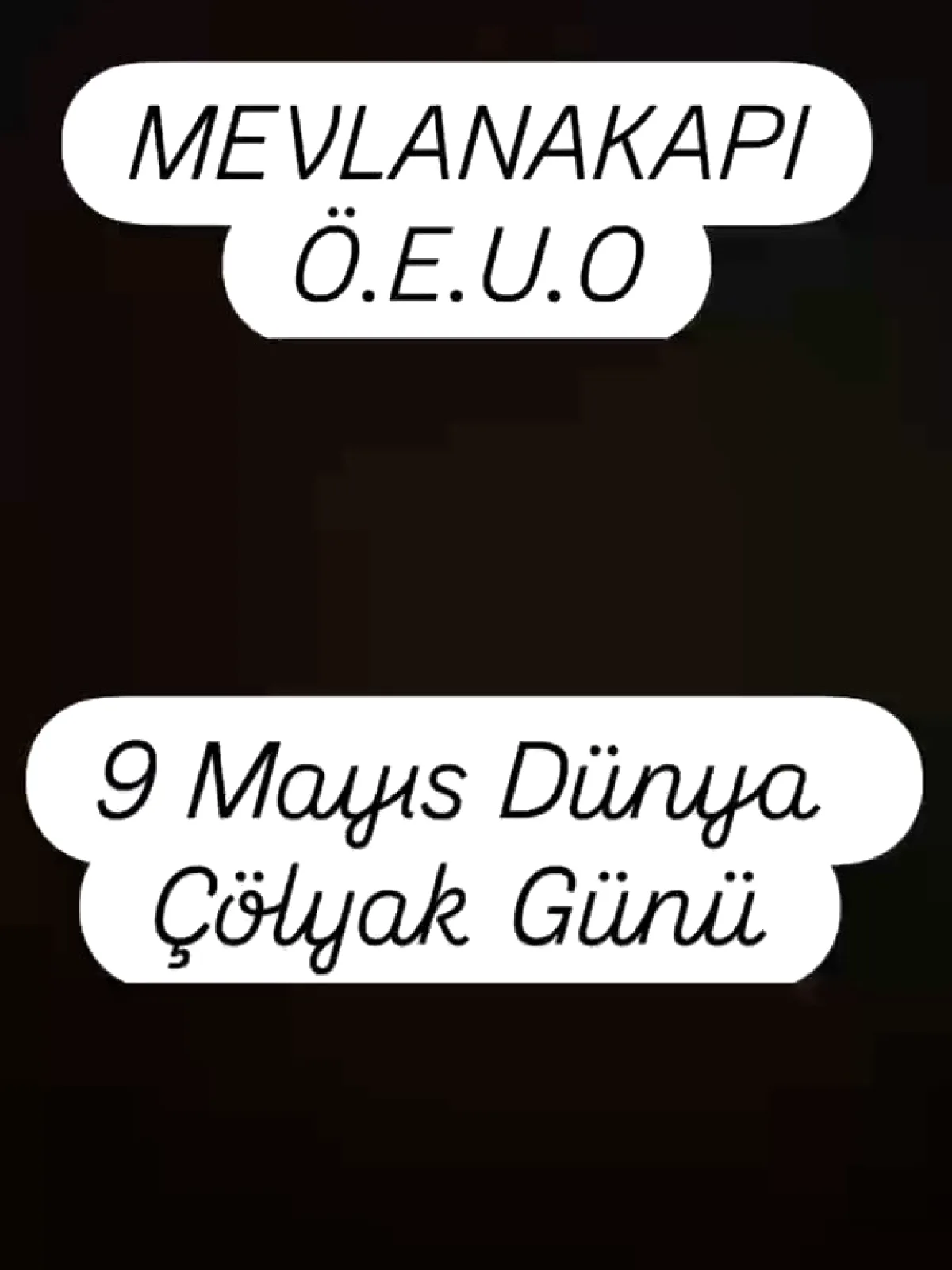Fatih'te Öğrenciler Dünya Çölyak Günü'nde Farkındalık İçin Buluştu Fatih'te Öğrenciler Dünya Çölyak Günü'nde Farkındalık İçin Buluştu