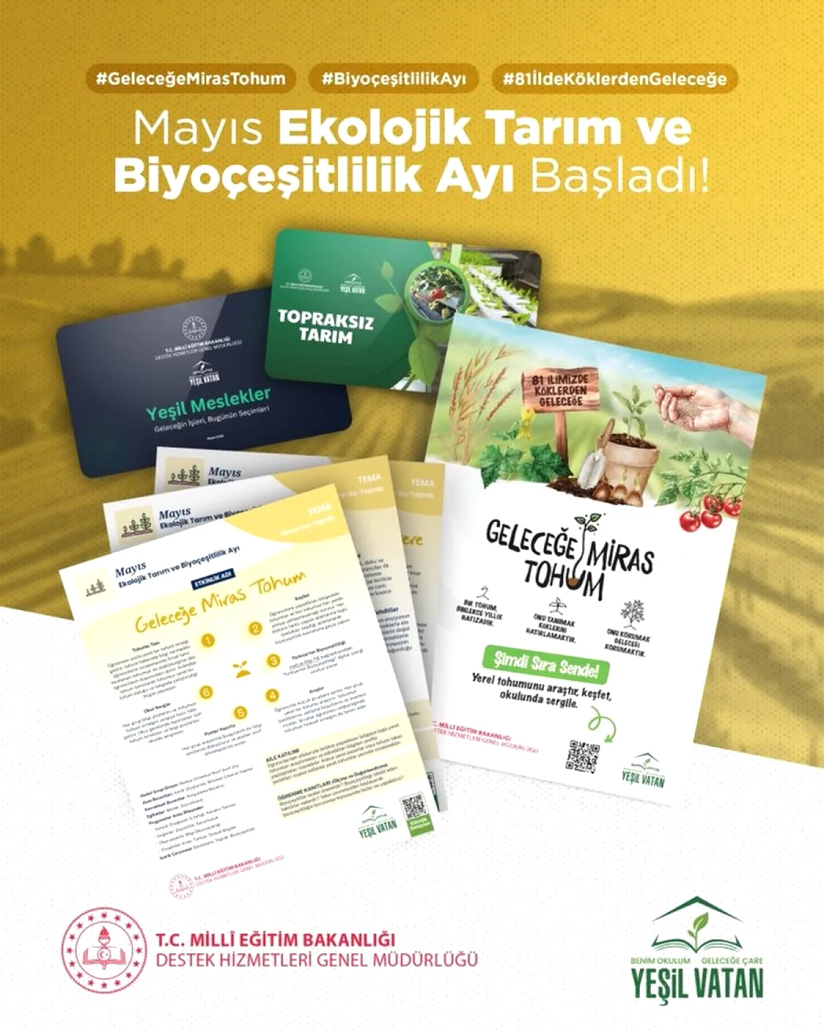 Kâğıthane'de Öğrenciler Topraksız Tarım ve Tohum Bankası İle Tanışıyor Kâğıthane'de Öğrenciler Topraksız Tarım ve Tohum Bankası İle Tanışıyor
