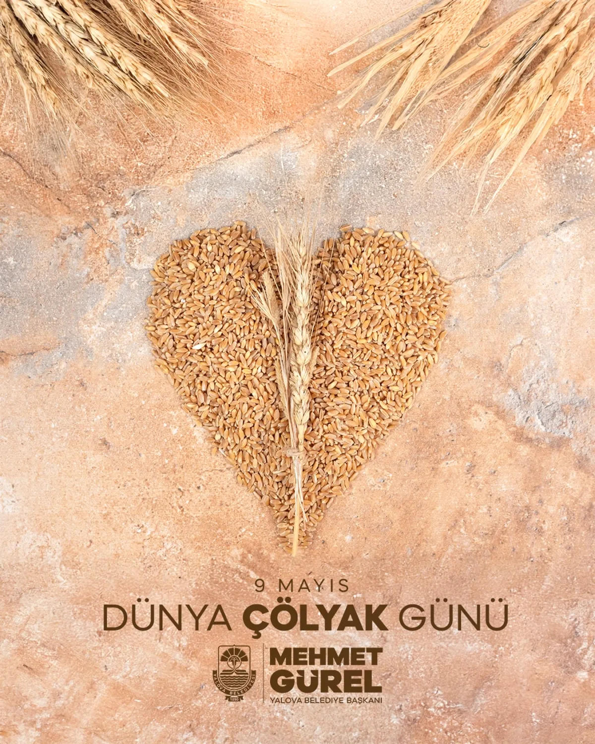 Yalova Belediyesi'nden Çölyaklılar İçin Yaşam Desteği Yalova Belediyesi'nden Çölyaklılar İçin Yaşam Desteği