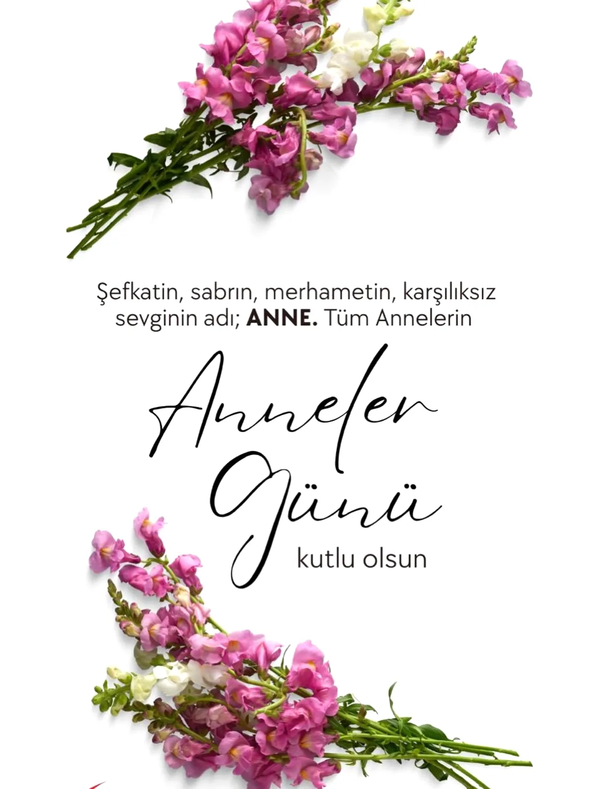 CHP Ümraniye Kadın Kolları'ndan Anneler Günü Mesajı CHP Ümraniye Kadın Kolları'ndan Anneler Günü Mesajı