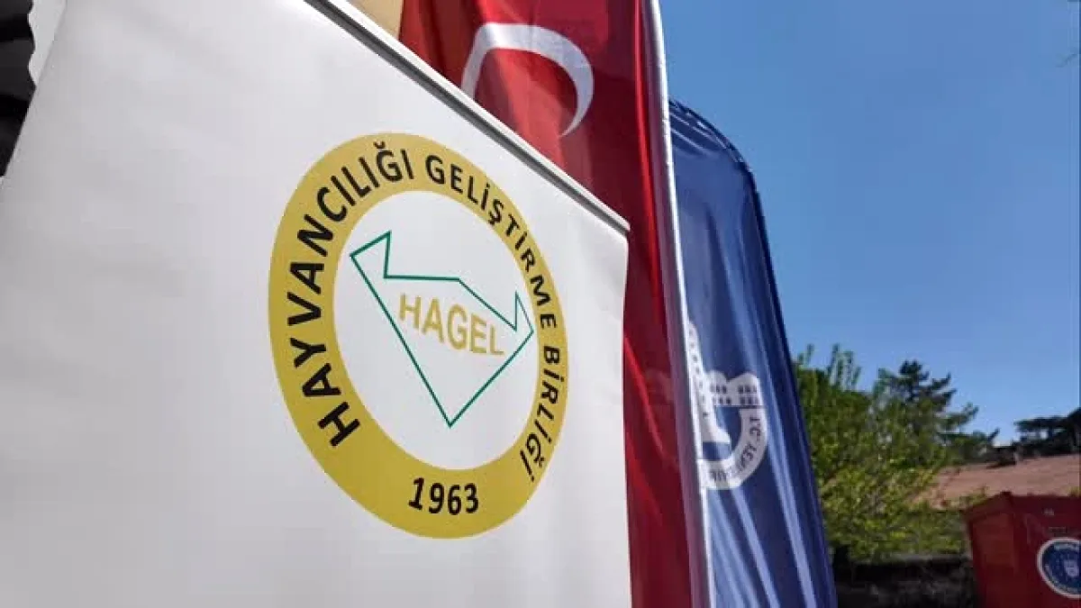 Yenişehir'de Üreticiye Tam Destek: Başkan Özel'ten Teşekkür Yenişehir'de Üreticiye Tam Destek: Başkan Özel'ten Teşekkür