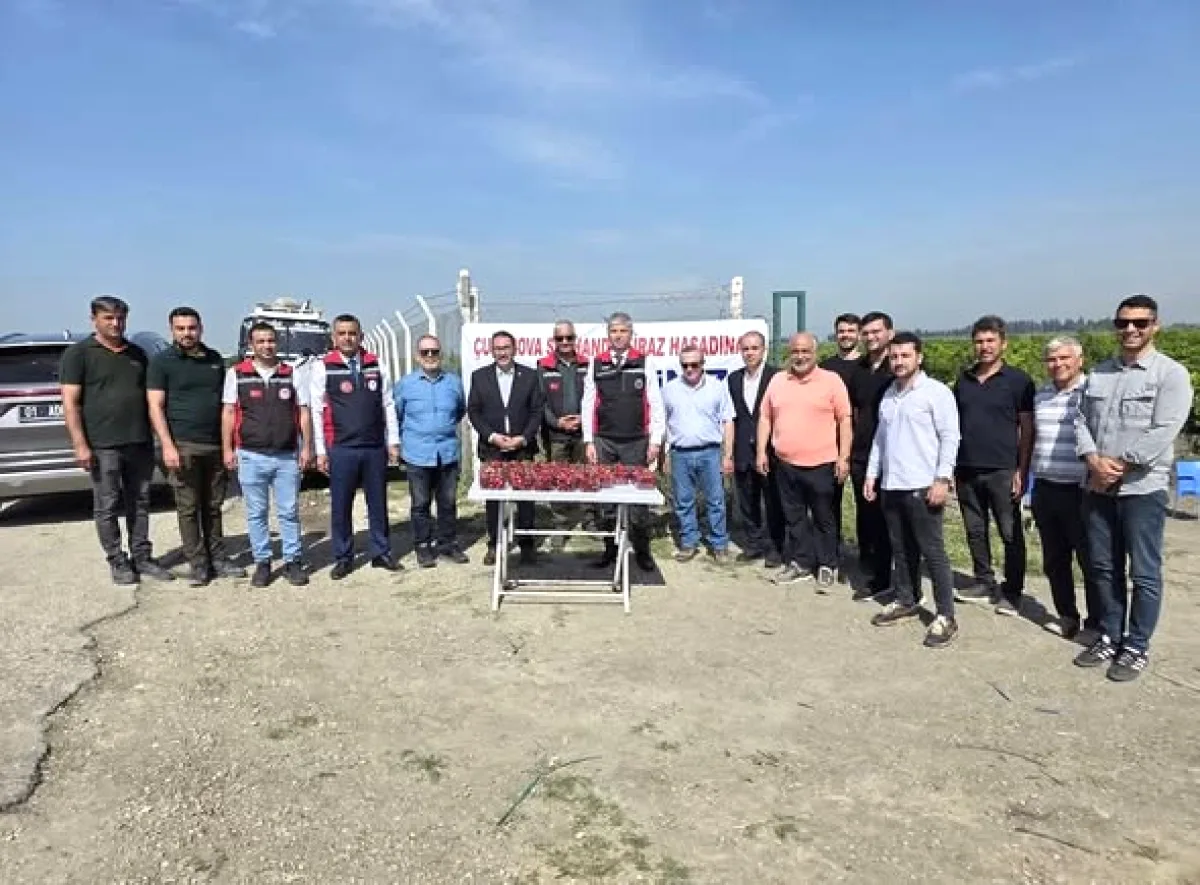 Adana'da İhracat Odaklı Kiraz Hasadı: İspanyol İş Birliği Adana'da İhracat Odaklı Kiraz Hasadı: İspanyol İş Birliği