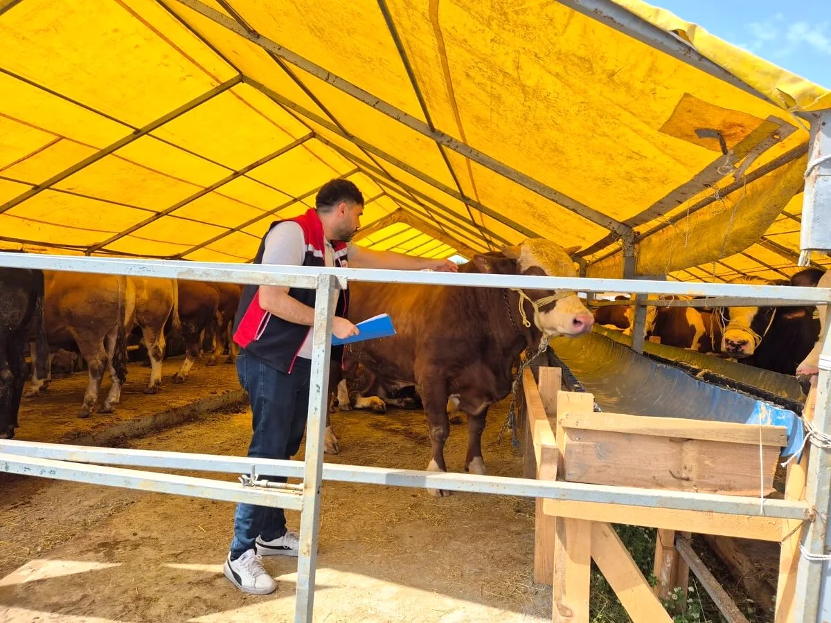 Bahçelievler Pazarında Kurbanlık Sezonu Başladı Bahçelievler Pazarında Kurbanlık Sezonu Başladı