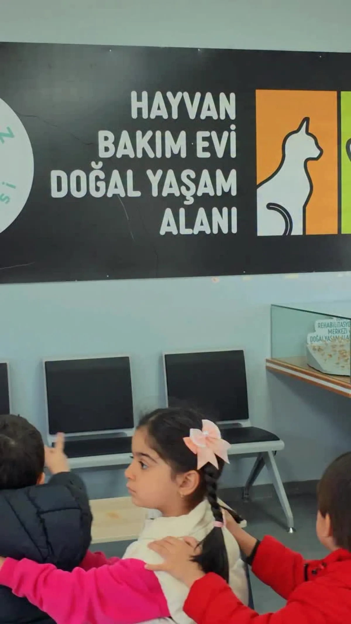 Beykoz'da Çocuklar Hayvan Bakımevinde Sevgi ve Merhametle Buluştu Beykoz'da Çocuklar Hayvan Bakımevinde Sevgi ve Merhametle Buluştu