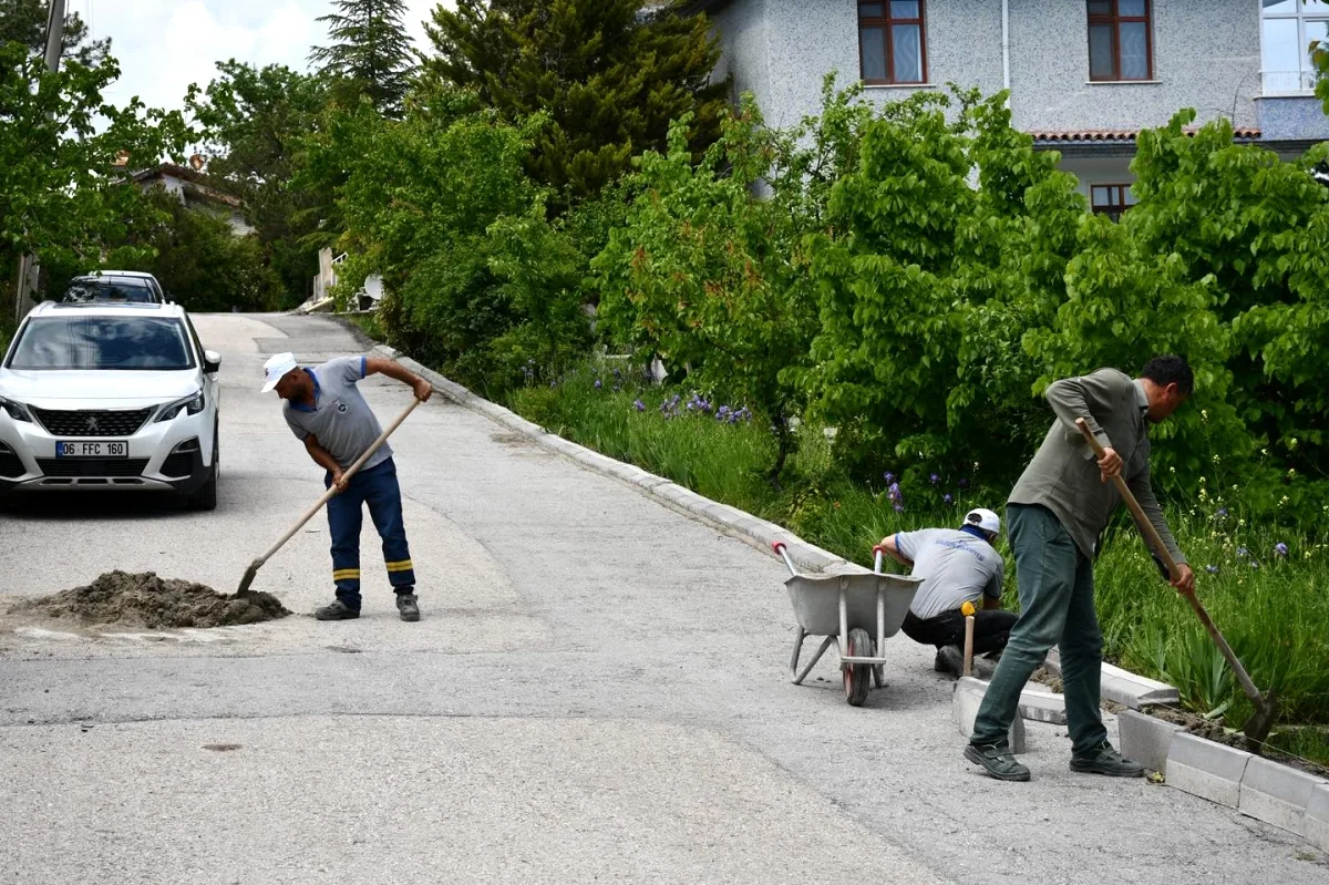 Kalecik Belediyesi'nden Çanşa Kale Mahallesi'ne Bordür Taşı Döşeme Kalecik Belediyesi'nden Çanşa Kale Mahallesi'ne Bordür Taşı Döşeme