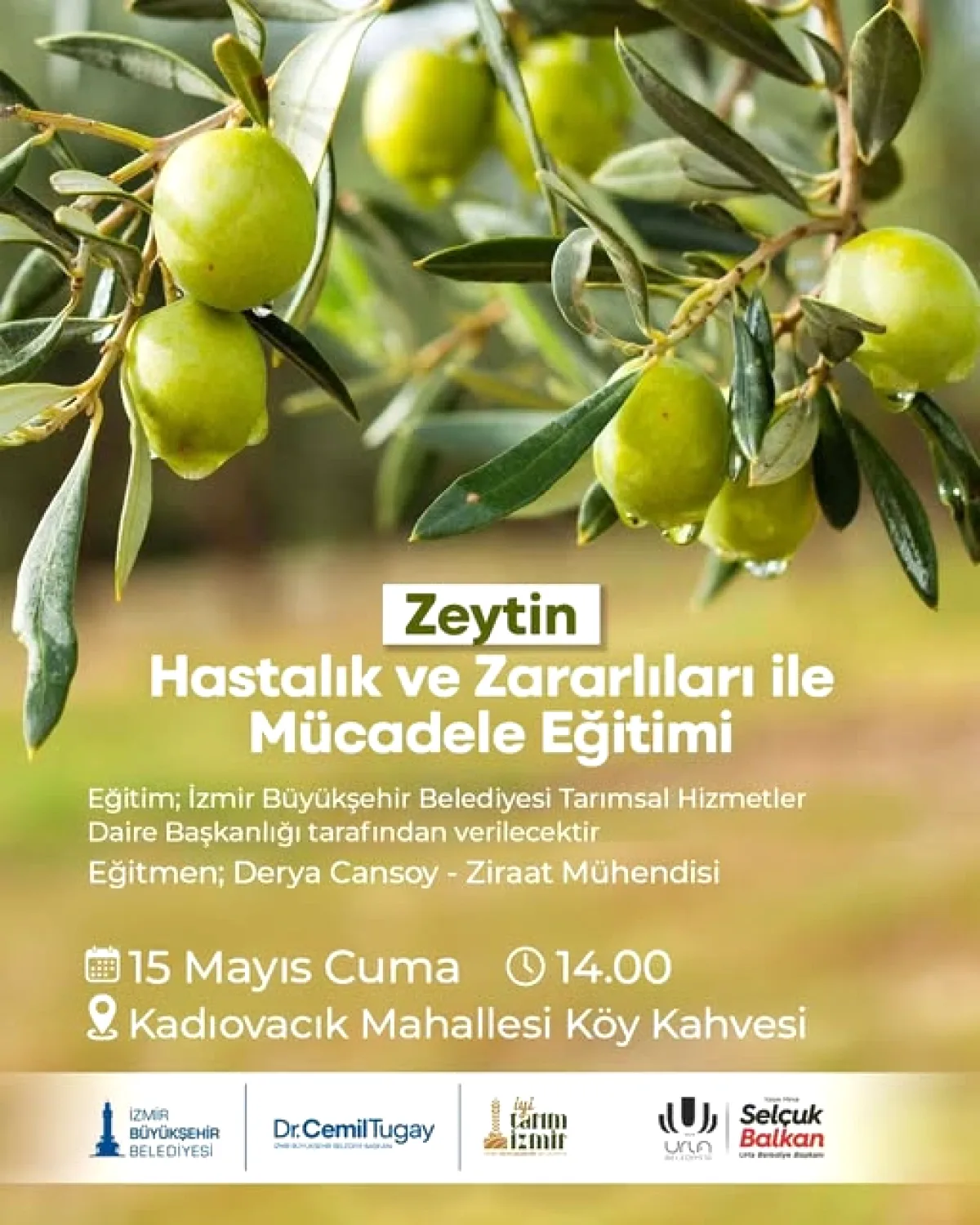Urla'da Zeytin Üreticilerine 15 Mayıs'ta Önemli Eğitim Urla'da Zeytin Üreticilerine 15 Mayıs'ta Önemli Eğitim