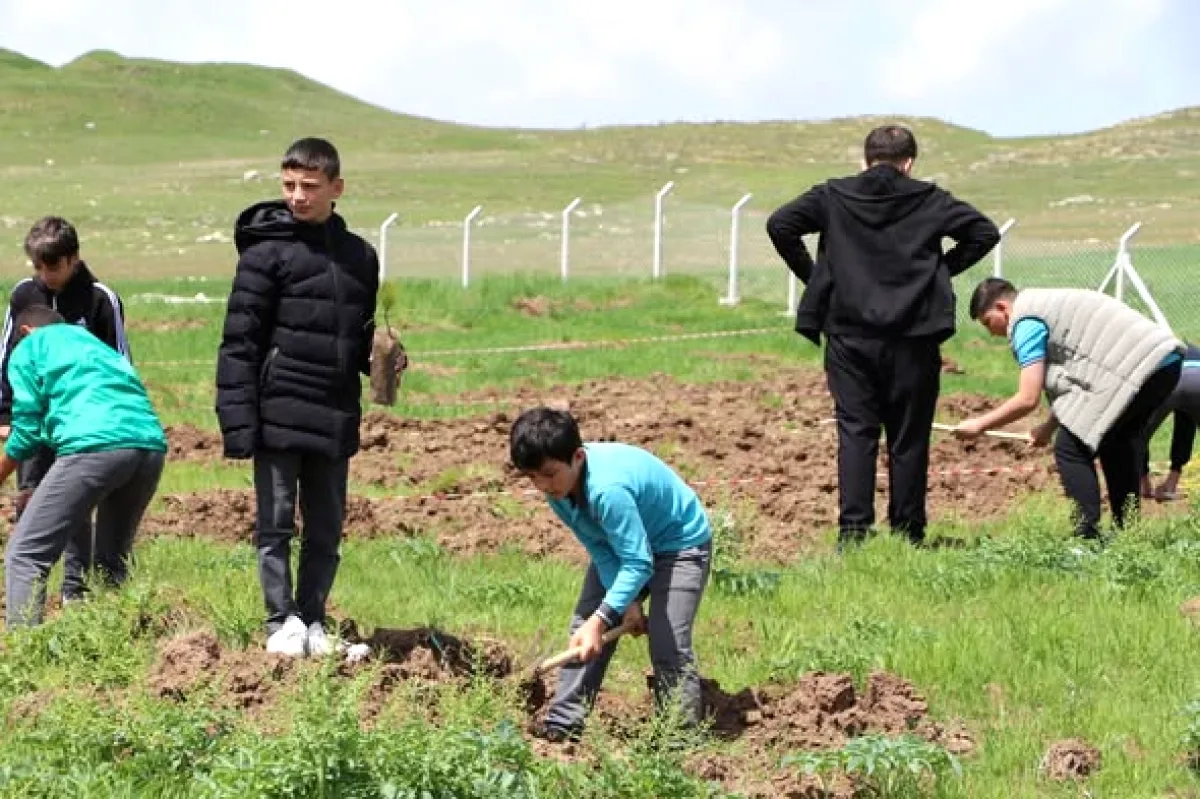 Sivas'ta Geleceğe Nefes Oldular: ÇEDES Projesiyle Fidanlar Toprakla Buluştu Sivas'ta Geleceğe Nefes Oldular: ÇEDES Projesiyle Fidanlar Toprakla Buluştu