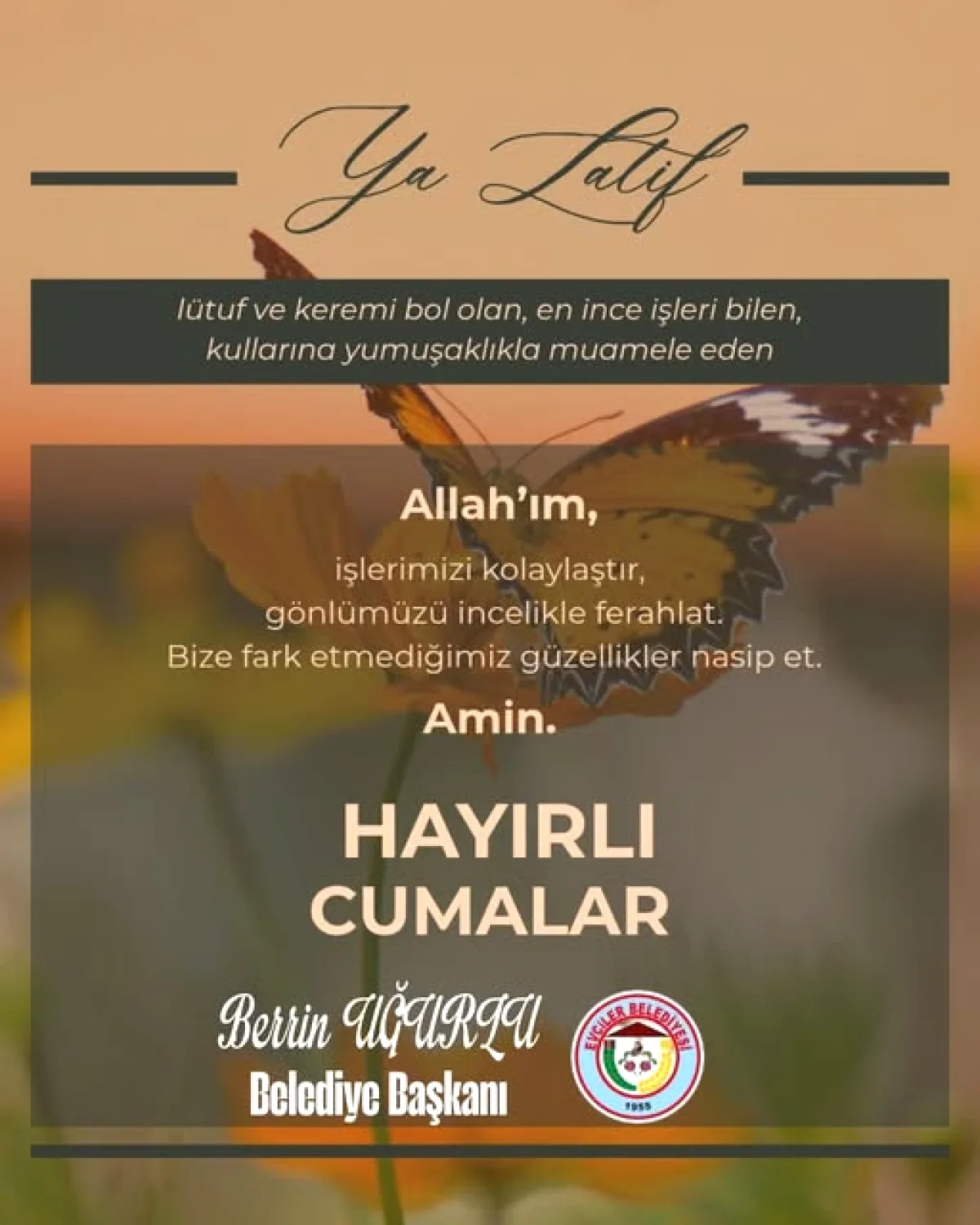 Evciler'de Hıdırellez Hazırlığı: Belediye Mesire Alanını Yeniledi Evciler'de Hıdırellez Hazırlığı: Belediye Mesire Alanını Yeniledi