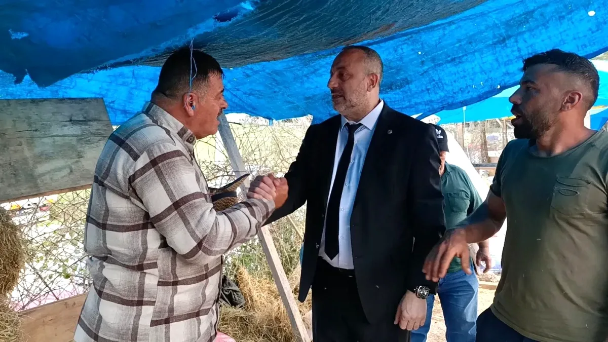 İzmit'te Kurbanlık Hayvan Satış Alanı Açıldı, Geçen Yılın Gerginliği Telafi Edilmeye Çalışılıyor İzmit'te Kurbanlık Hayvan Satış Alanı Açıldı, Geçen Yılın Gerginliği Telafi Edilmeye Çalışılıyor