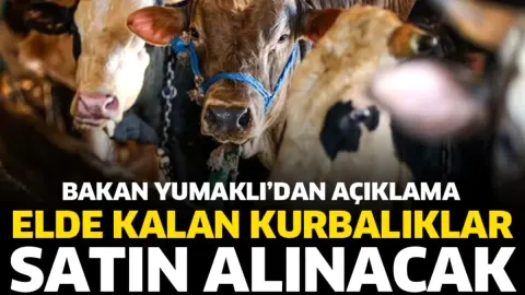 Satılmayan Kurbanlık Hayvanlar Satın Alınacak