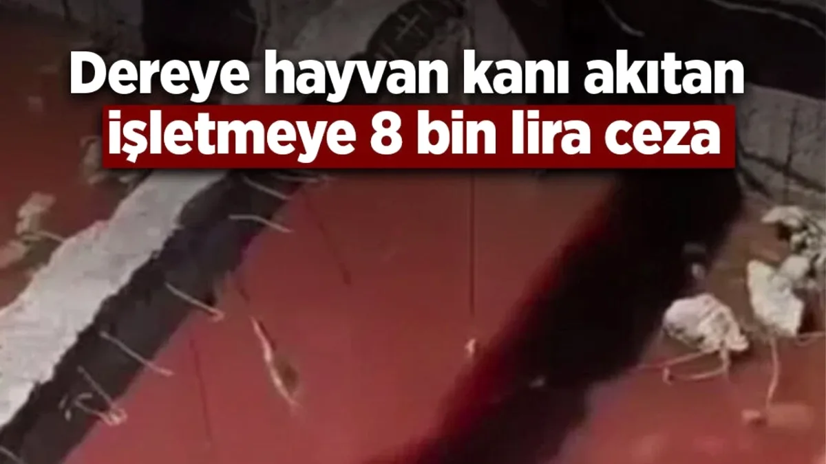 Samsun Havza'da Dereye Hayvan Kanı Akıtan İşletmeye 8.687 TL Ceza Samsun Havza'da Dereye Hayvan Kanı Akıtan İşletmeye 8.687 TL Ceza