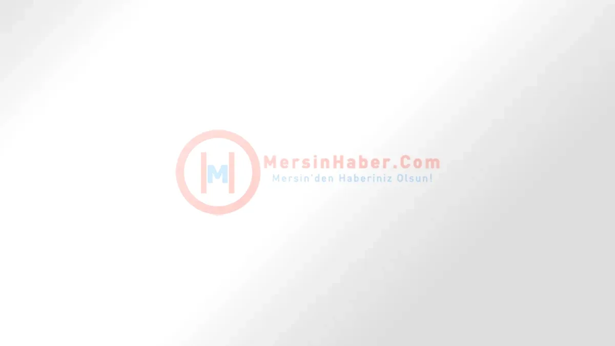Kelkit Çayı'nda Kaybolan İki Genç İçin Arama Sürüyor Kelkit Çayı'nda Kaybolan İki Genç İçin Arama Sürüyor