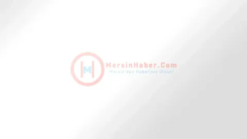 Kelkit Çayı'nda Kaybolan İki Genç İçin Arama Sürüyor