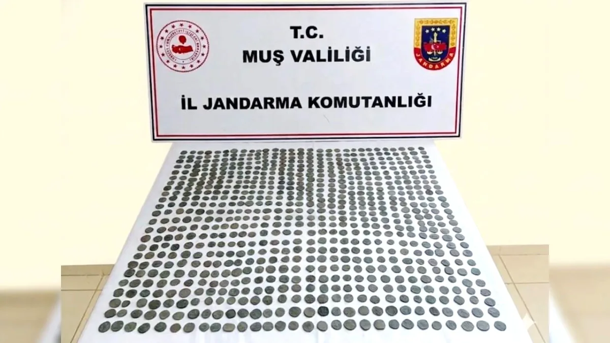 Muş'ta 749 Adet Tarihi Sikke Ele Geçirildi Muş'ta 749 Adet Tarihi Sikke Ele Geçirildi