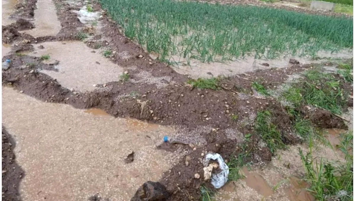 Malatya'da Sağanak ve Dolu: Doğanşehir'de Tarım Arazileri Sular Altında Kaldı Malatya'da Sağanak ve Dolu: Doğanşehir'de Tarım Arazileri Sular Altında Kaldı