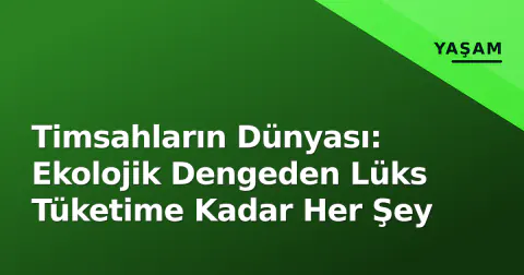 Timsahların Dünyası: Ekolojik Dengeden Lüks Tüketime Kadar Her Şey