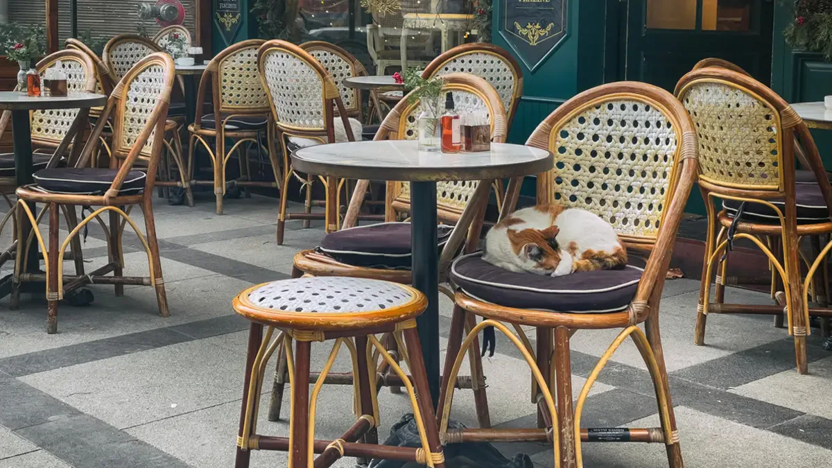 Restoran ve Kafelerde Evcil Hayvan Dönemi Kapanıyor mu? Bakanlık'tan Yeni Düzenleme Restoran ve Kafelerde Evcil Hayvan Dönemi Kapanıyor mu? Bakanlık'tan Yeni Düzenleme