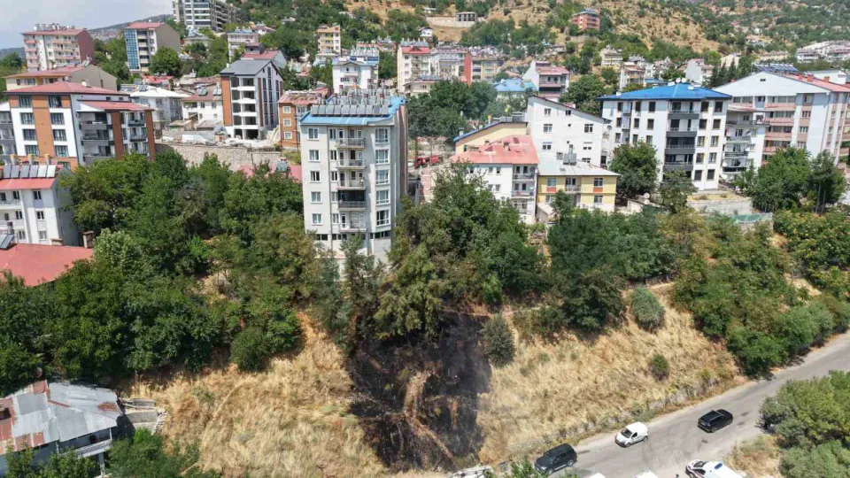 Tunceli'de Çocukların Torpil Oyunu Örtü Yangınına Dönüştü görseli