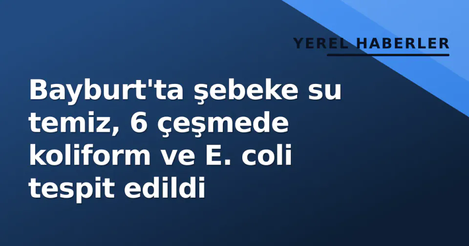 Bayburt'ta şebeke su temiz, 6 çeşmede koliform ve E. coli tespit edildi görseli