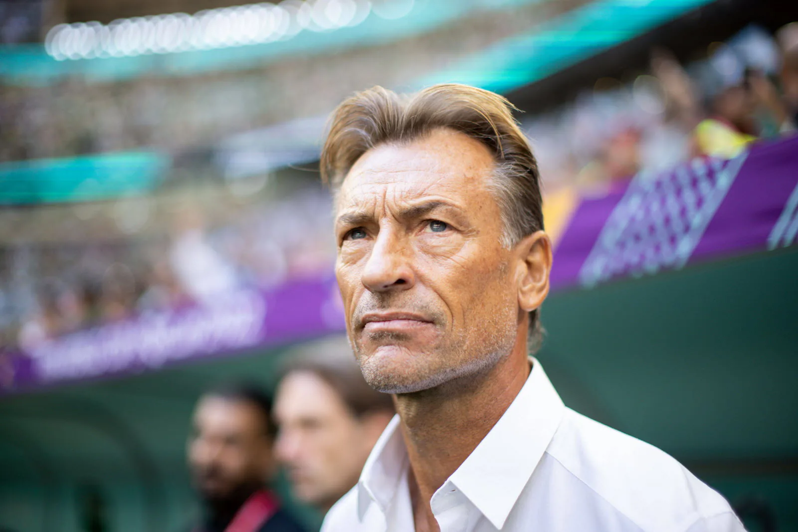 Hervé Renard'ın Yeni Rotası: Cezayir mi, Senegal mi? Hervé Renard'ın Yeni Rotası: Cezayir mi, Senegal mi?