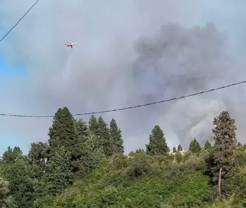ABD'de Korkutan Orman Yangını: North Cayuse'da Acil Tahliyeler Başladı