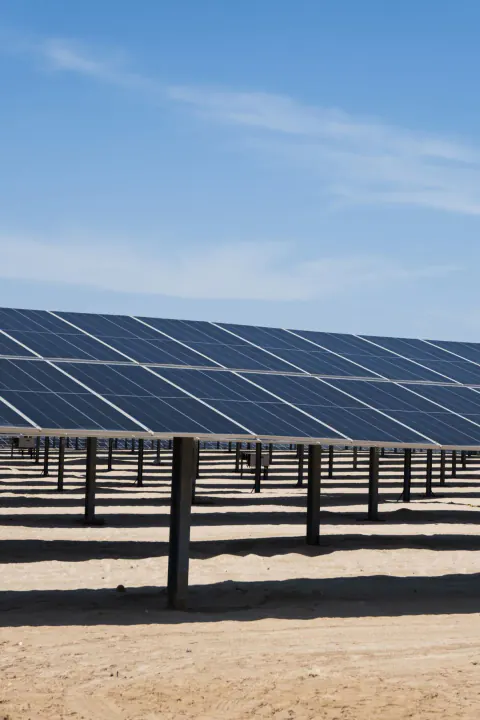 Çinli Güneş Paneli Devi Jinko Solar'da Kritik Eşik: Bu Yıl Başabaş Noktası Hedefleniyor