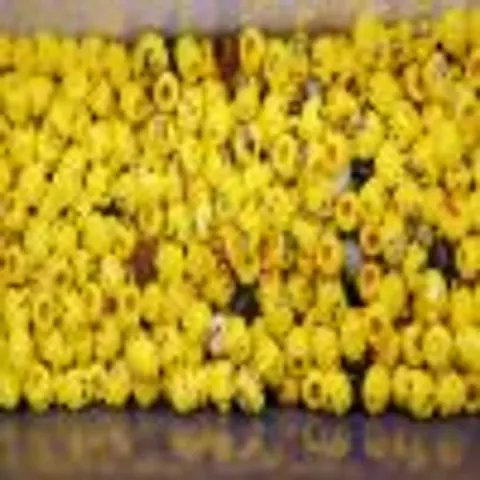 Lego Dünyasında Büyük Kriz: YouTuber Reckless Ben ve Bricks and Minifigs Arasında Anlaşma
