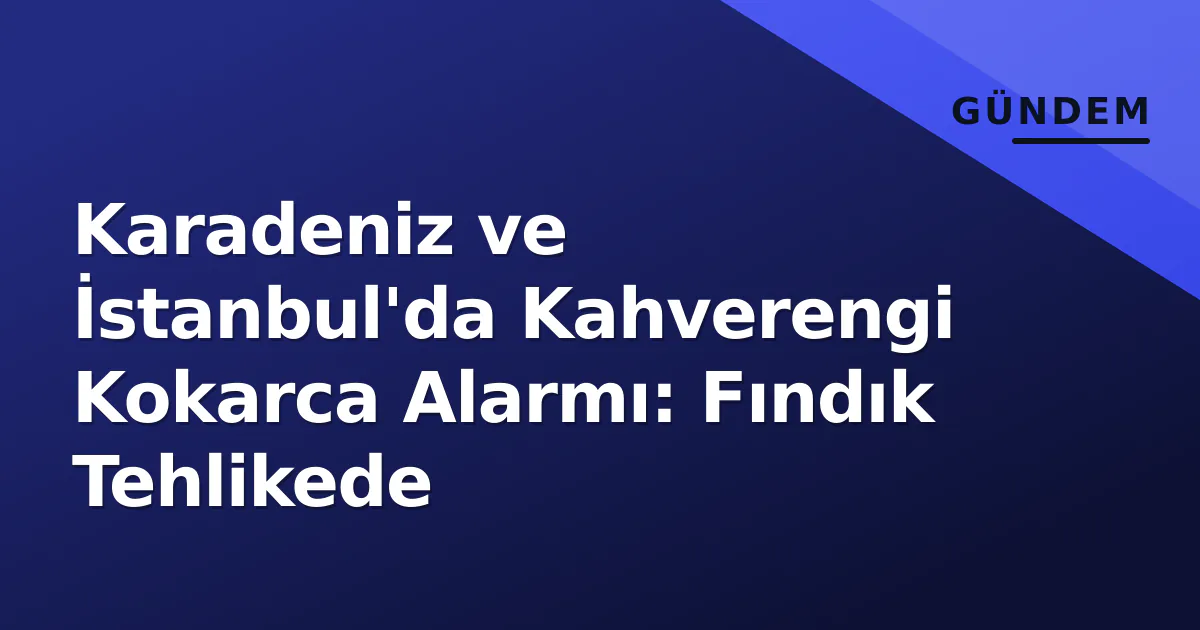 Karadeniz ve İstanbul'da Kahverengi Kokarca Alarmı: Fındık Tehlikede Karadeniz ve İstanbul'da Kahverengi Kokarca Alarmı: Fındık Tehlikede