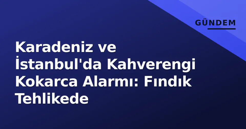 Karadeniz ve İstanbul'da Kahverengi Kokarca Alarmı: Fındık Tehlikede görseli