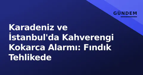 Karadeniz ve İstanbul'da Kahverengi Kokarca Alarmı: Fındık Tehlikede